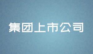 集團上市公司網(wǎng)站設(shè)計及網(wǎng)站規(guī)劃方案